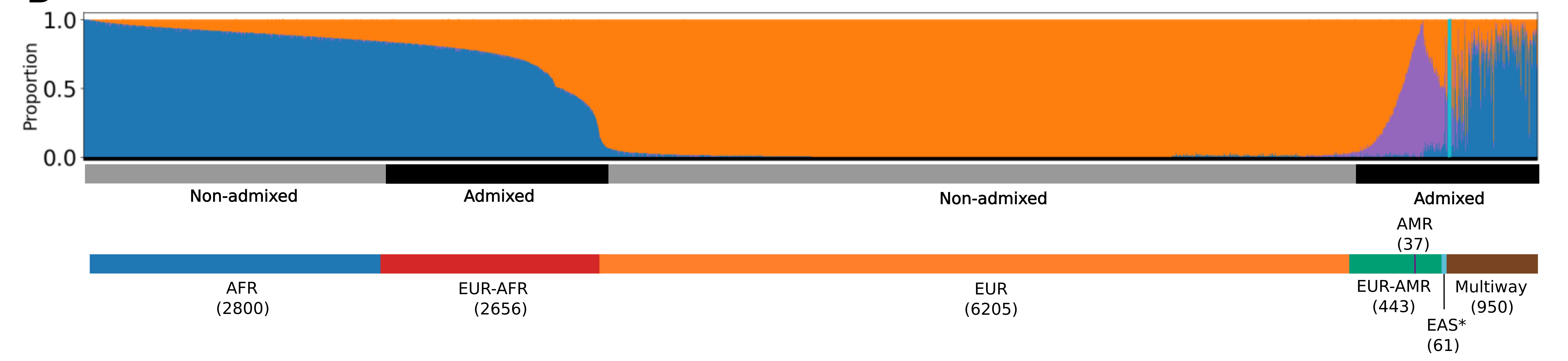 BIG admixture analysis