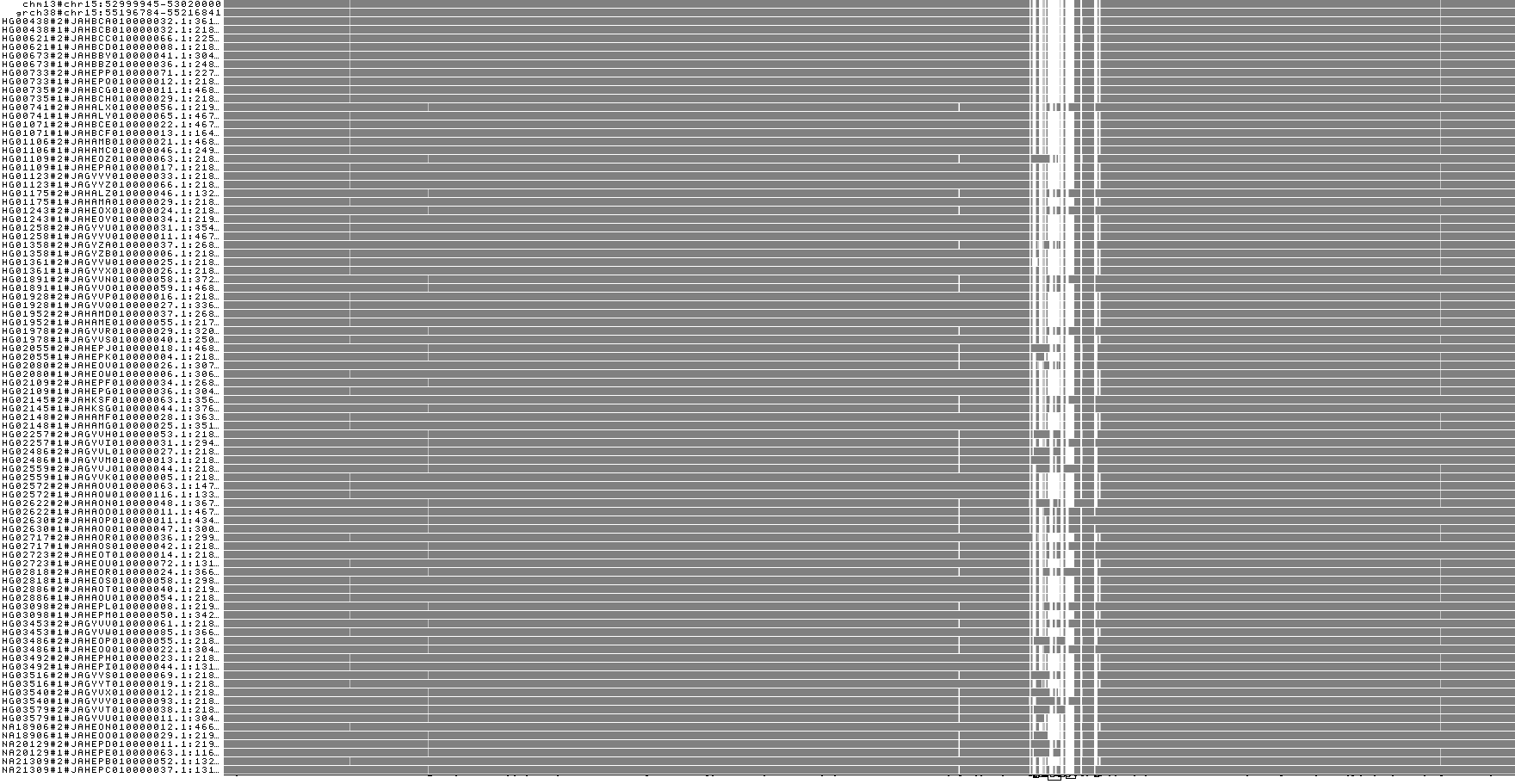 chr15 53mbp viz