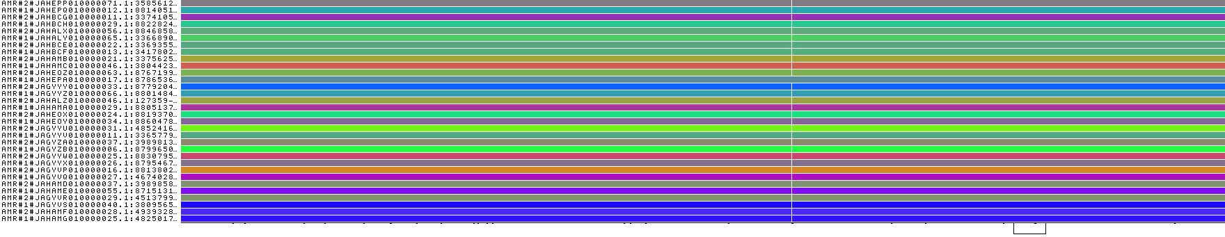 chr15 66mbp AMR